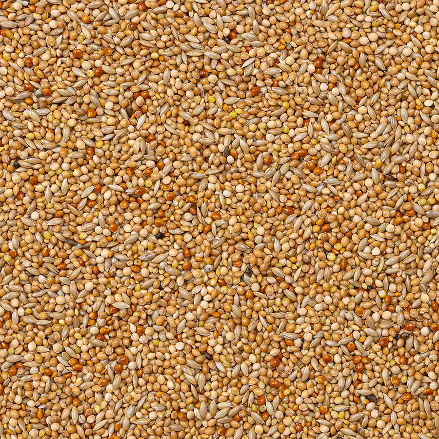 Основний корм для тропічних птахів, в`юрків Deli Nature 40 Foreign Finches Basic Делі Натюр класичний 20 кг - фото 2