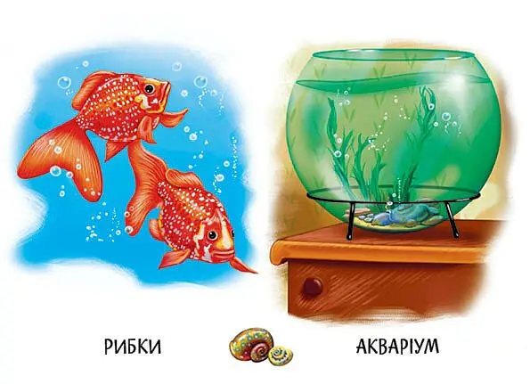 22 картинки. Хто живе у будиночку - - фото 4