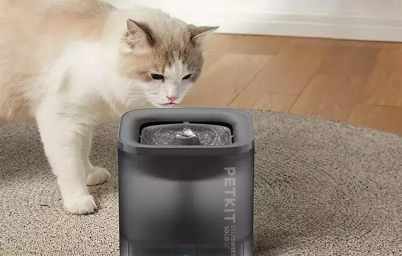Поїлка PETKIT Eversweet SOLO SE Smart Pet Drinking Fountain Grey P4103S - фото 6