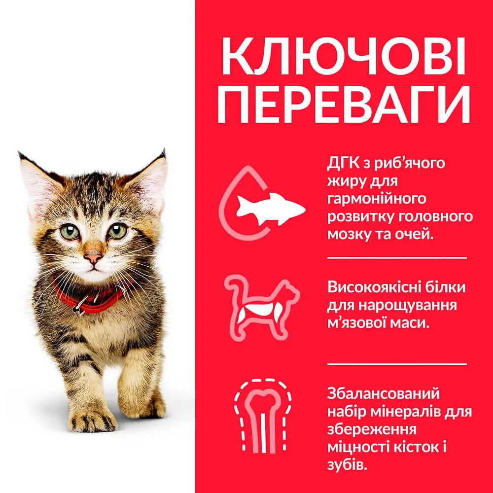 Сухий корм Hill's SP Kitten для котят та кішок у період вагітності та лактації з куркою 7 кг - фото 2