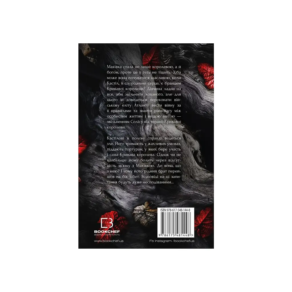 Книга Кров і попіл: Війна двох королев - Дженніфер Л. Арментраут BookChef (9786175481448) - фото 3