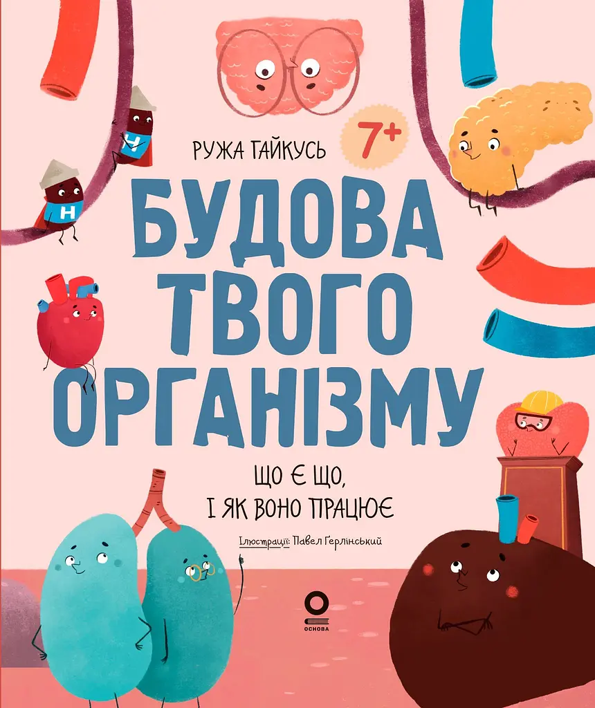 Будова твого організму. Що є що і як воно працює