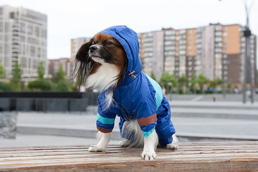 Комбінезон Smart Pet Snowfall - фото 4