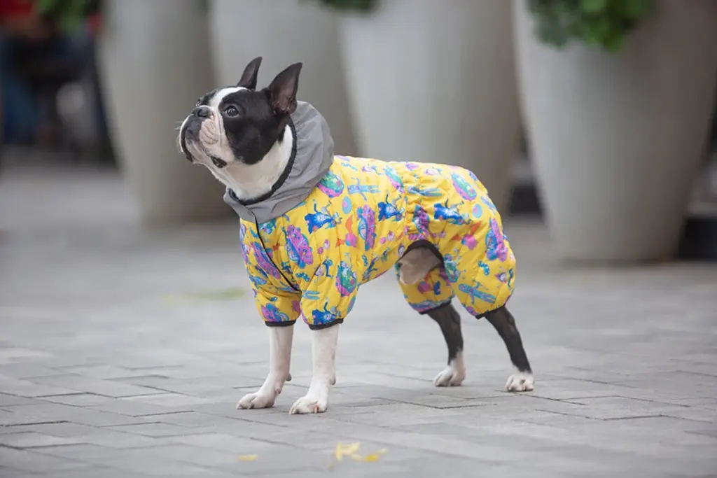 Комбінезон для собак Waudog Clothes, Рік та Морті 3, S40 - фото 2