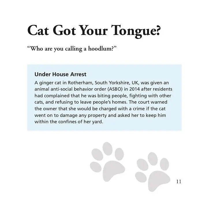 Cats Gone Bad - фото 2