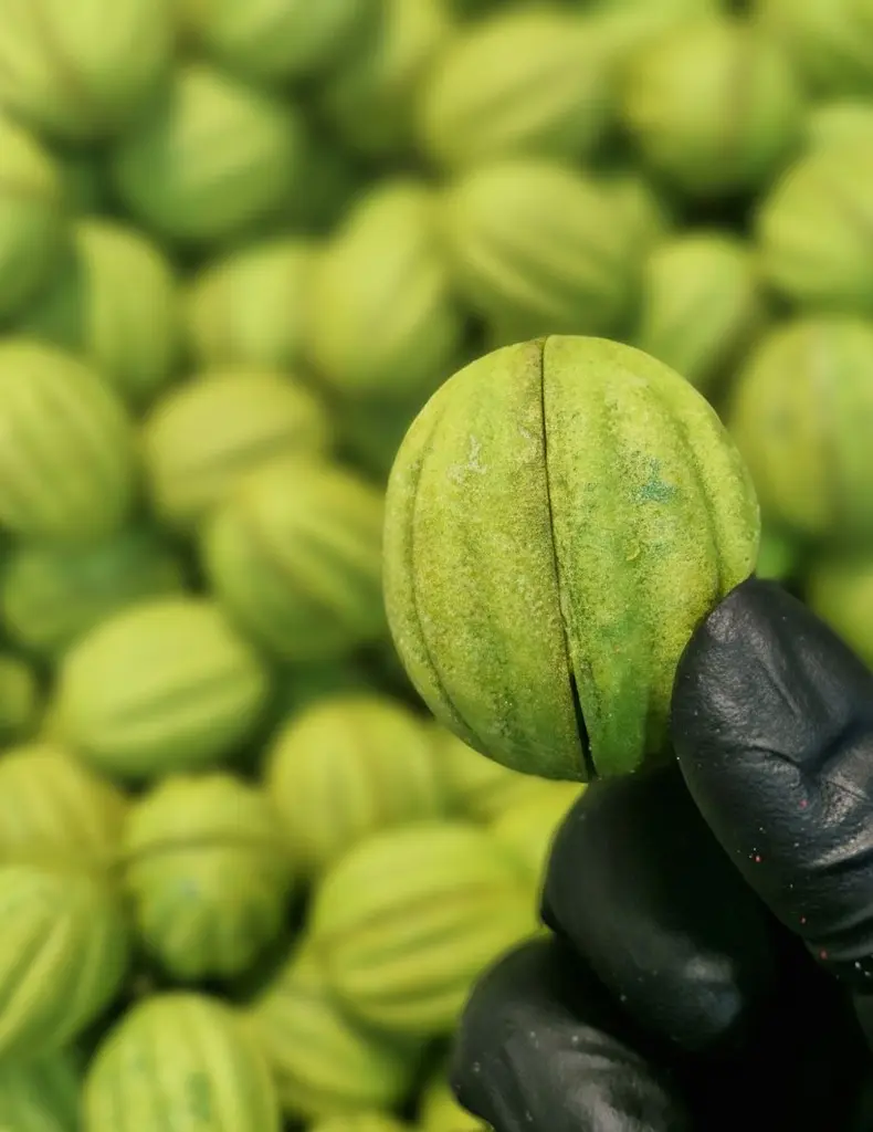 Набор Орешков Фисташка 12 шт. в упаковке - фото 2