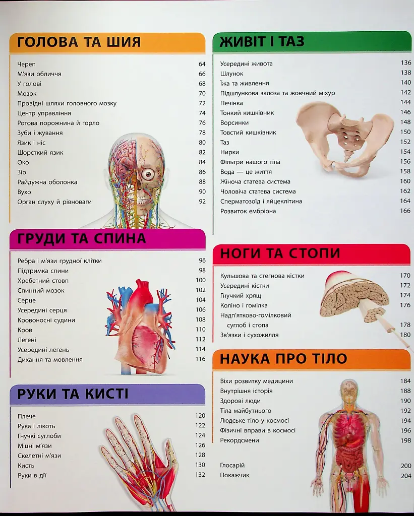 Енциклопедія знань. Тіло людини - Пітер Крісп - фото 4