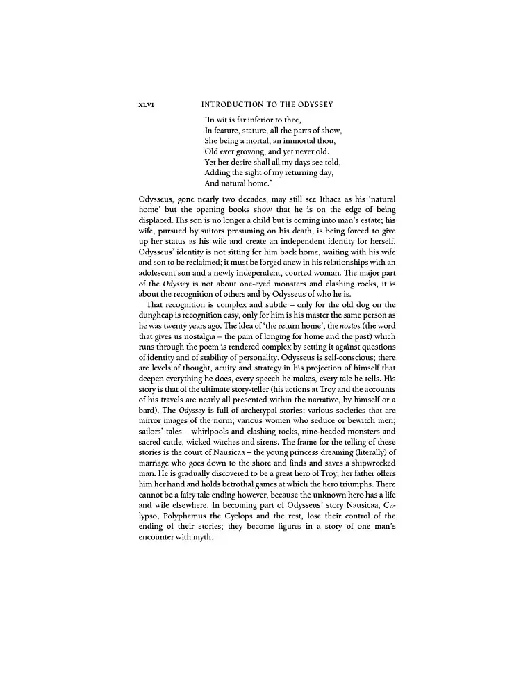 The Iliad and the Odyssey - фото 37