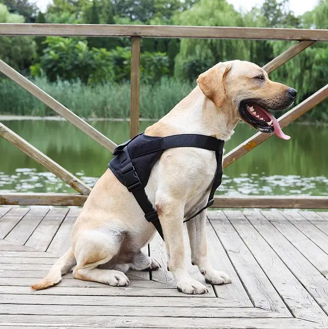 Шлея для собак Harness, тактичний жилет з ручкою, Чорний, S - фото 2