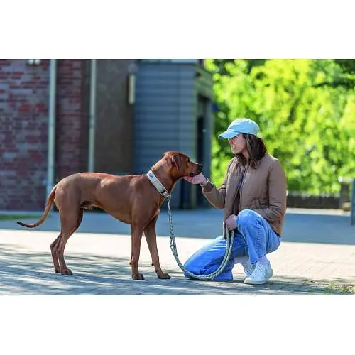 Нашийник для собак Trixie Premium екстраширокий XS-S 27-35 см 25 мм пісочно-сірий - фото 4