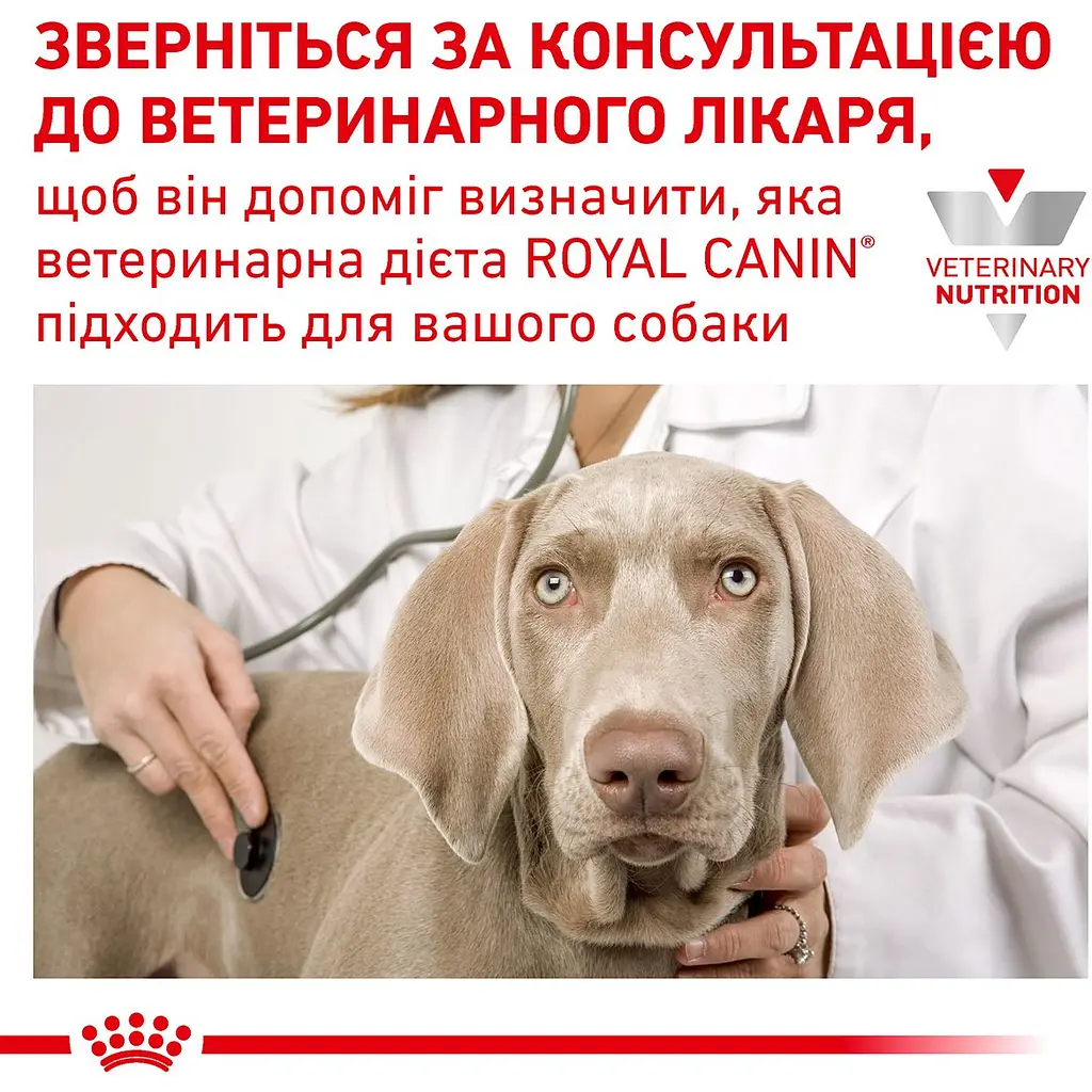 Сухий повнораціонний дієтичний корм для собак Royal Canin Veterinary Skin Care для підтримки захисних функцій шкіри при дерматозах та надмірному випадінні вовни 11 кг - фото 5