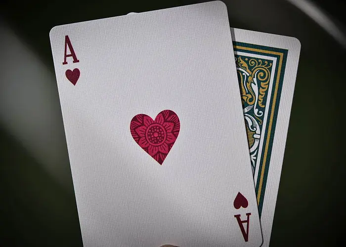 Карти гральні United States Playing Card Company Bicycle Promenade (09397) - фото 9