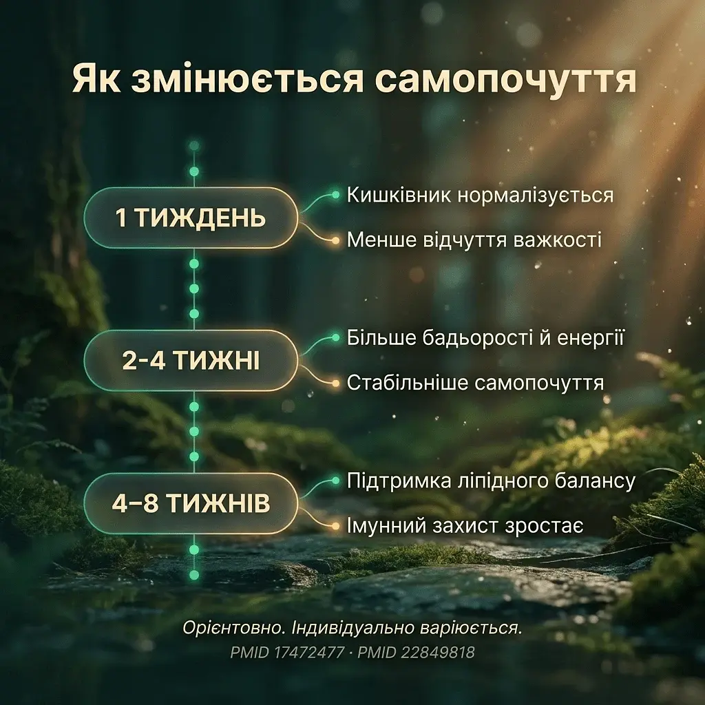 Хлорела у порошку 500 г - фото 7