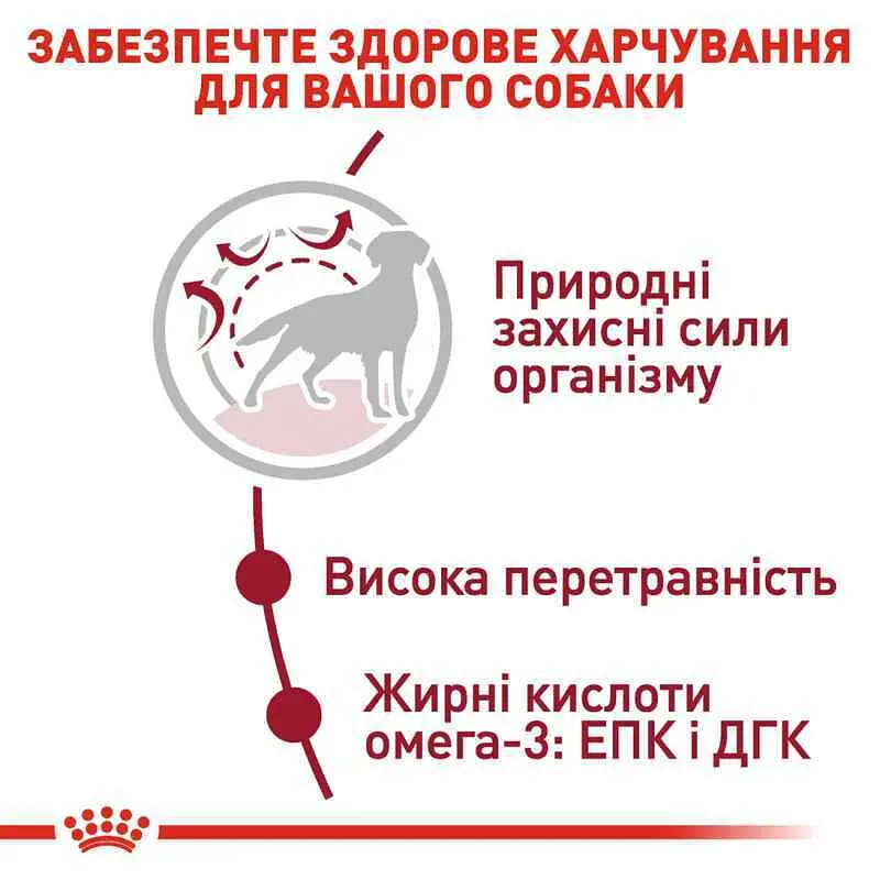 Сухой корм для взрослых собак средних пород Royal Canin Medium Adult, 1 кг (3004100) - фото 5
