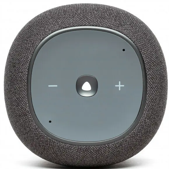 Колонка Bluetooth JBL Link Musik (JBLLINKMUSICGRYEU) Gray UA - фото 4