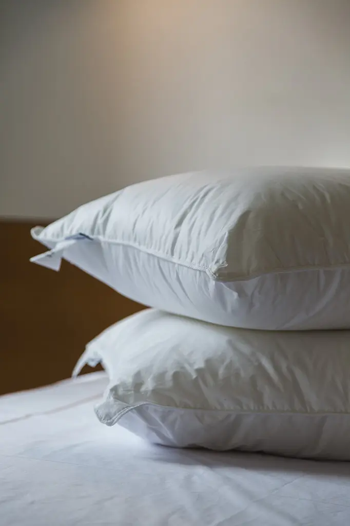 Подушка Ecotton 50х70 см Ecofill Premium антиалергенна з біопухом біла в чохлі для зберігання White (25069)