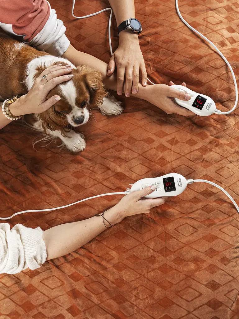 Ковдра електрична електроковдра Camry CR 7436 двоспальна - фото 9