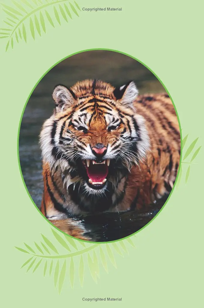 I Love Reading. 550 Words. Tiger! - Monica Hughes - фото 4