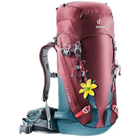 Рюкзак Deuter Guide 30+ SL Maron-Arctic (1052-3361017 5324) - фото 1