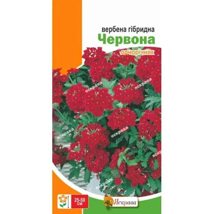 Вербена ЯСКРАВА гібридна Червона (20 пачок) 0,1г