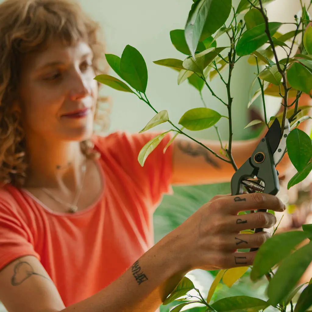 Секатор для кімнатних рослин Fiskars (1075314) - фото 7