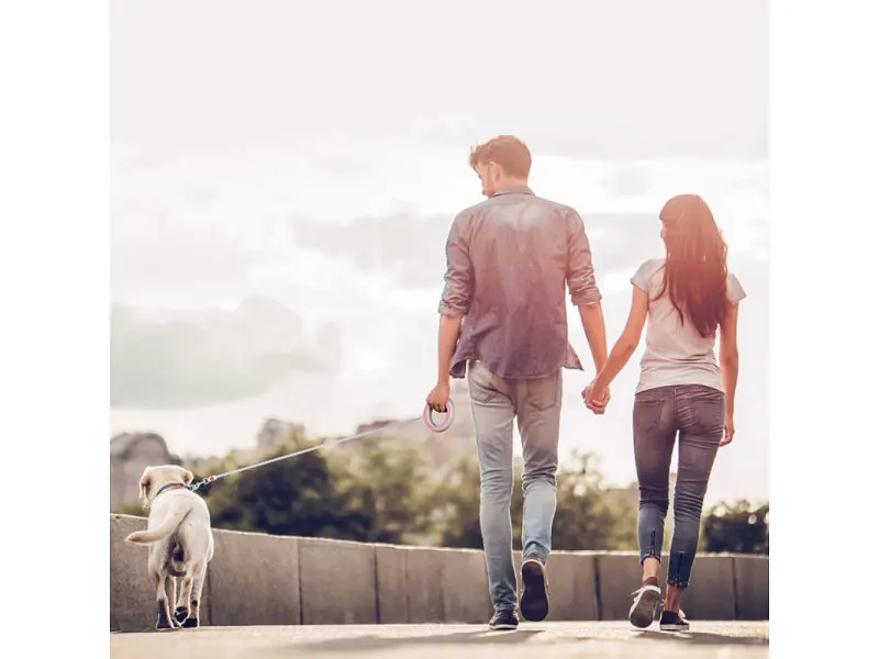 Поводок для собак WAUDOG R-leash светоотражающая лента XS-M до 40 кг 2.9 м розовый (81277) - фото 9