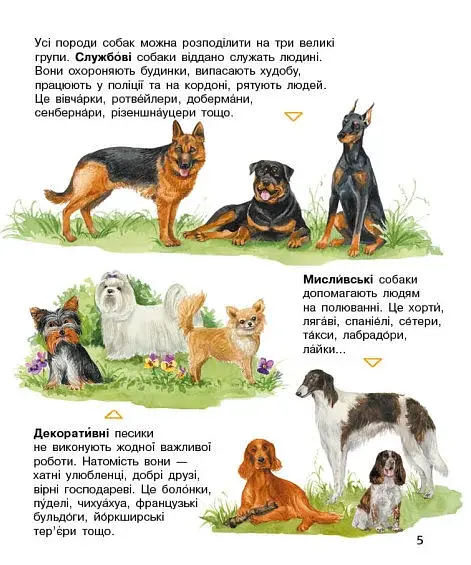 Енциклопедія дошкільника: Собаки - фото 3