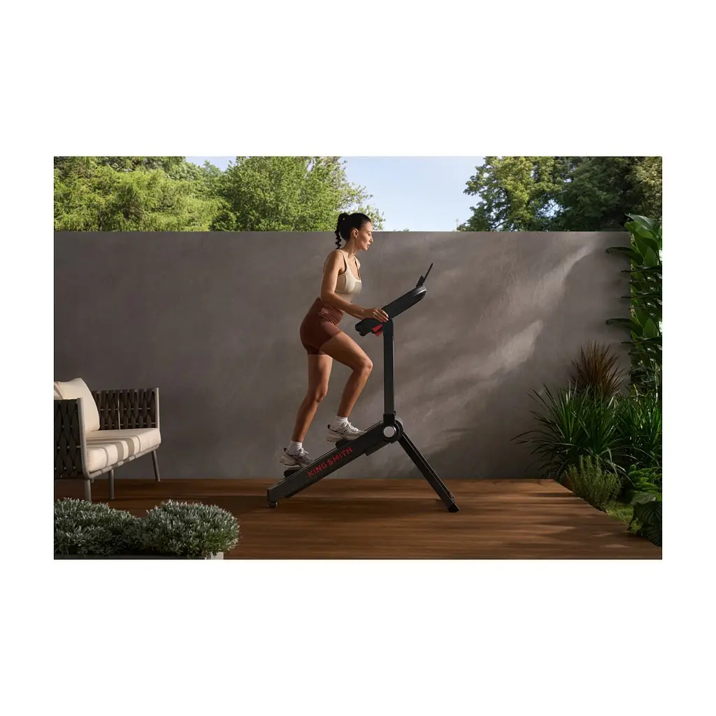 Степпер Kingsmith StairGo STE001 (STEPPER001) - фото 2