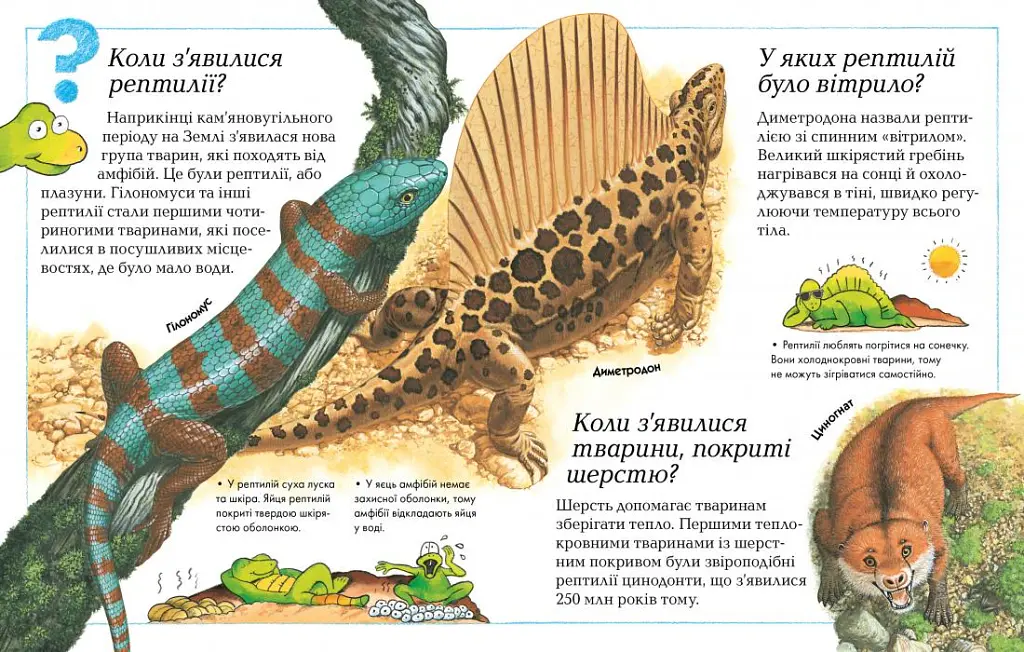Де, що і коли? - - фото 3