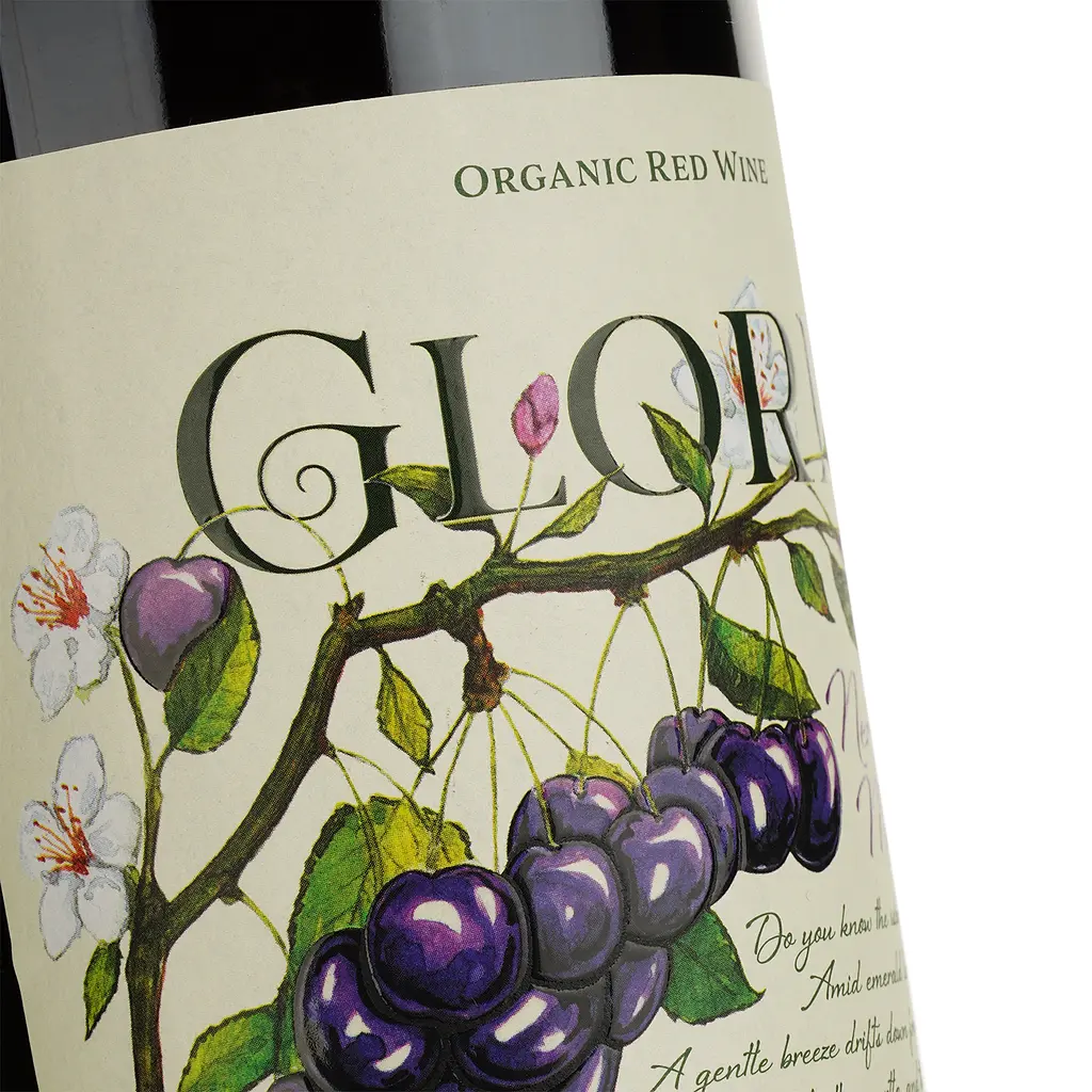 Вино Mare Magnum Gloria Nerello Mascalese Organic червоне сухе 0.75 л - фото 3