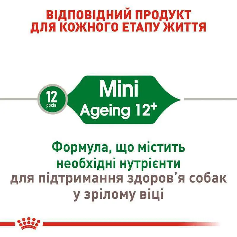 Сухий корм для собак старше 12 років Royal Canin Mini Ageing 12+, 1,5 кг (1007015) - фото 6