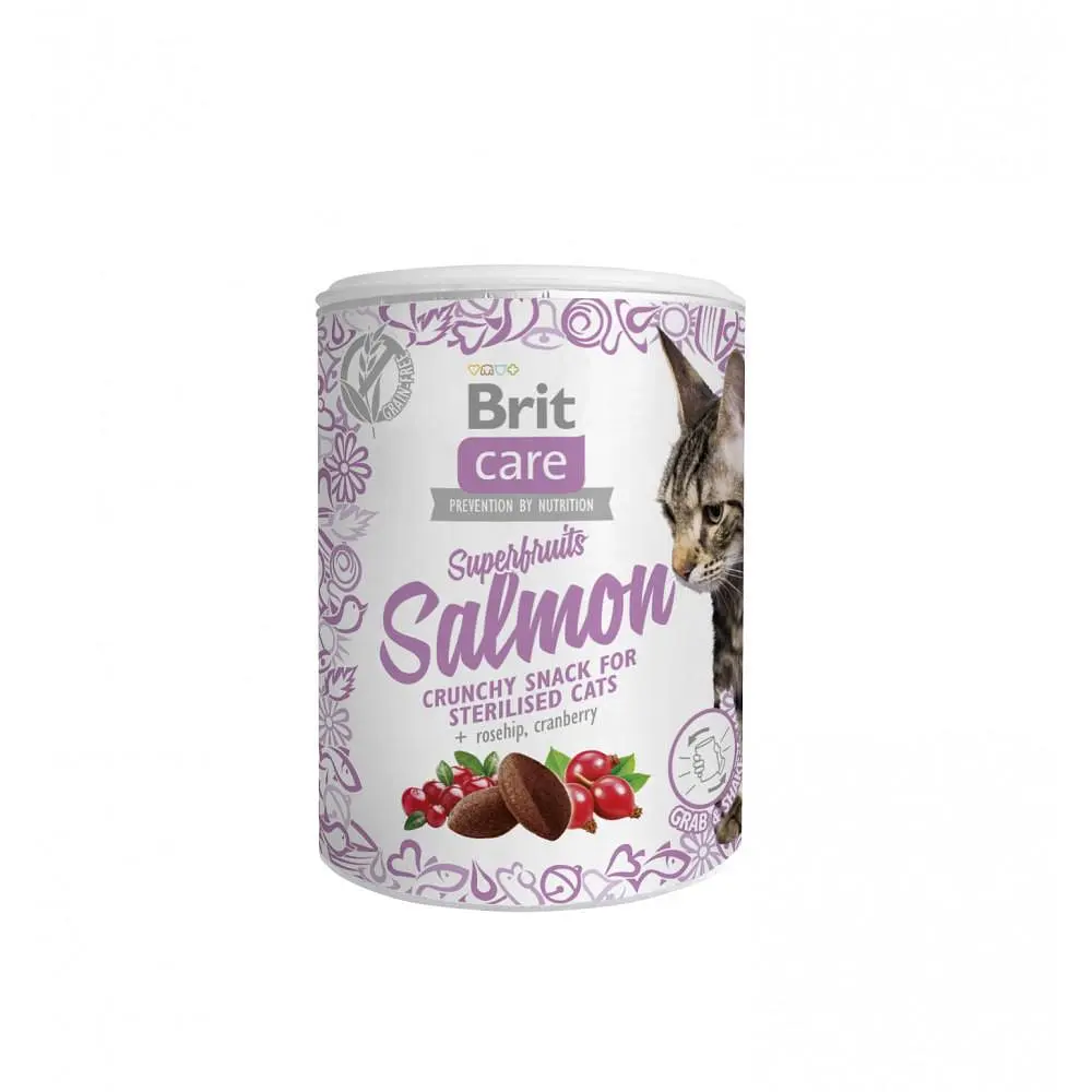 Ласощі для котів Brit Care Cat Snack Superfruits Salmon лосось 100 г (111270) - фото 2