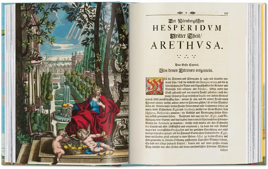 J. C. Volkamer. Book of Citrus Fruits. 45th Edition - фото 6