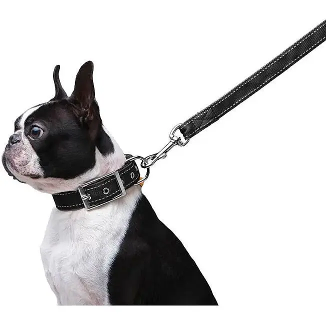 Повідець Dog Extreme з нейлону подвійний (ширина 20мм, довжина 122см), чорний - фото 4