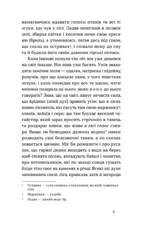 Тіні забутих предків. Новели (серія Цвіт) - фото 6