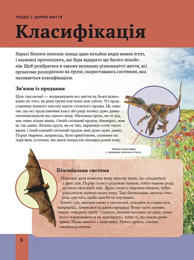 Дитяча енциклопедія біології - Том Джексон - фото 6