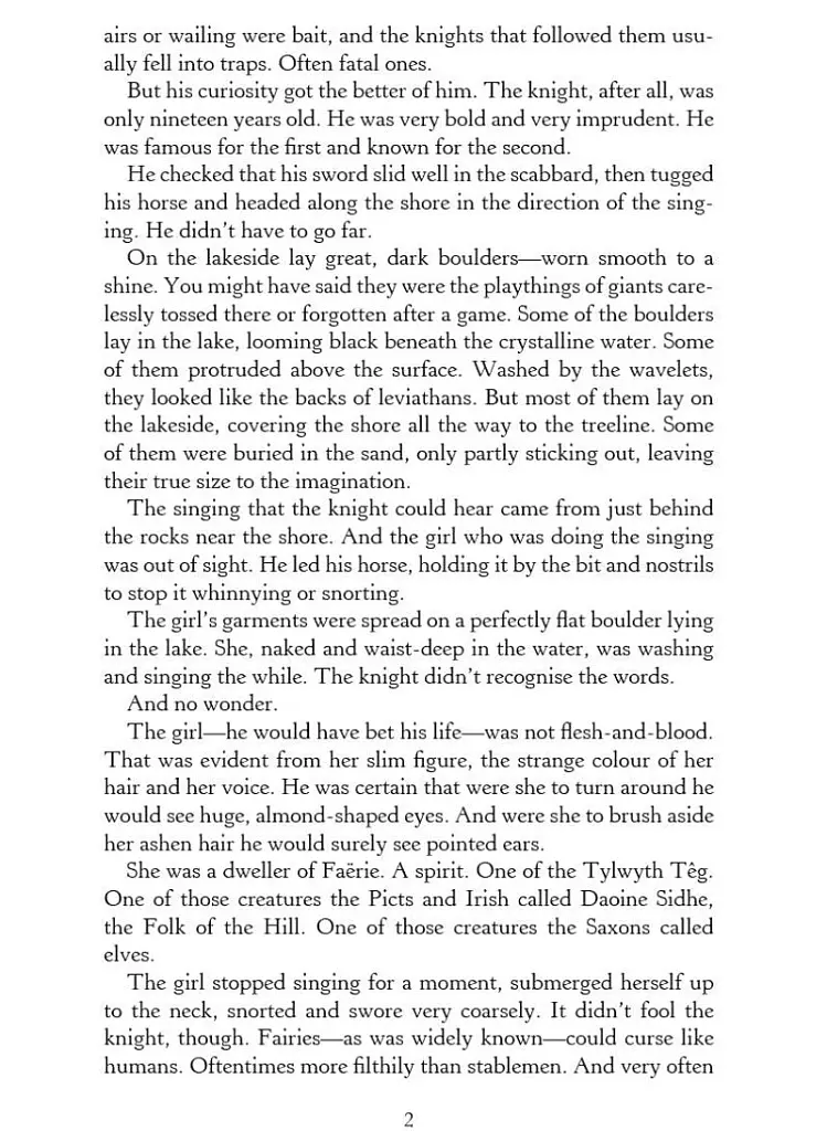 The Lady of the Lake. The Witcher Book 5 - фото 3