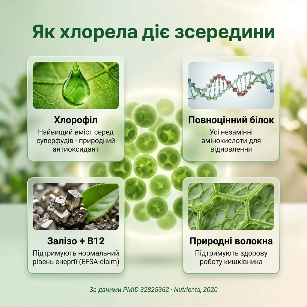 Хлорела у порошку 250 г - фото 4