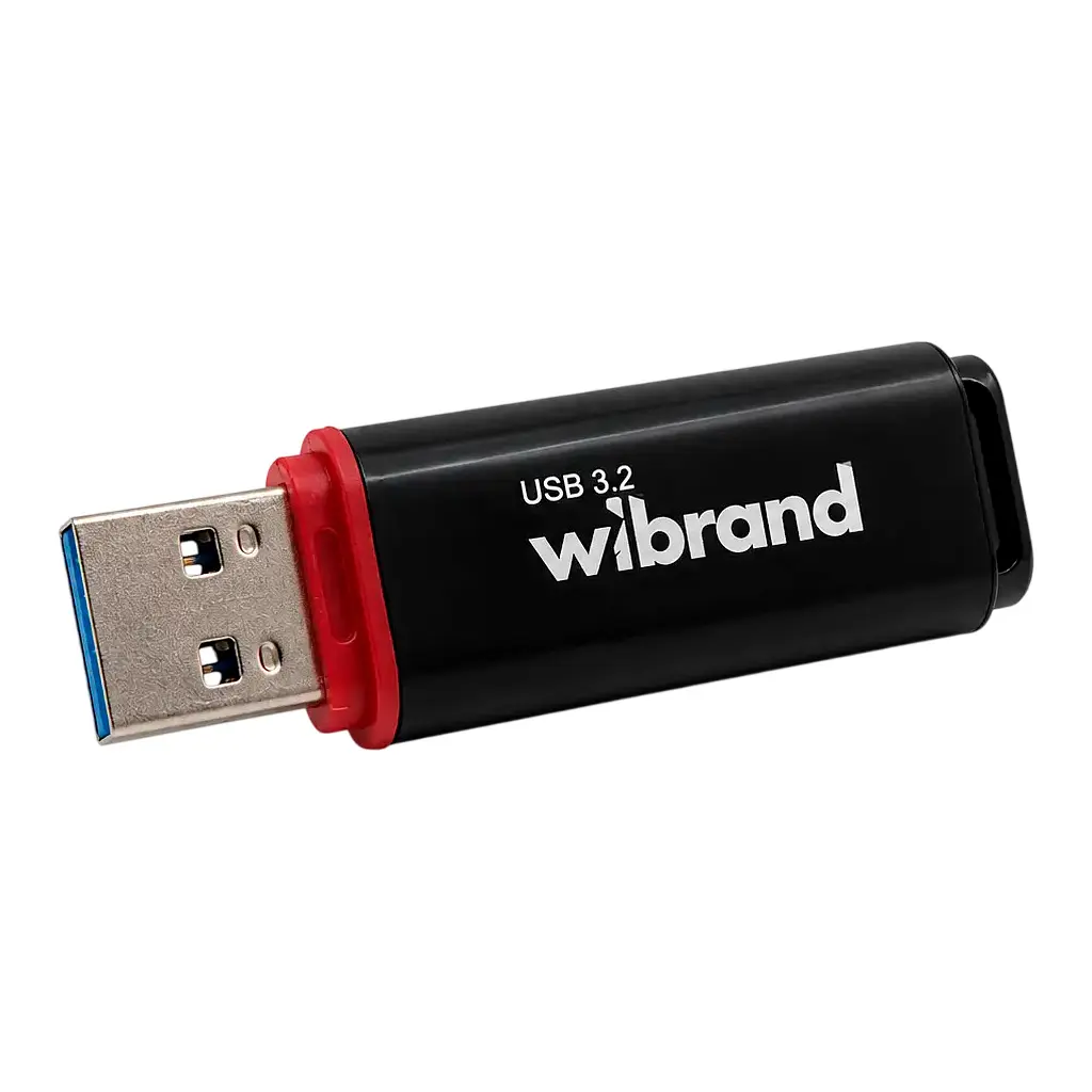 USB флеш накопичувач Wibrand 128GB Scarab Black USB 3.2 (WI3.2/SC128P11B) - фото 3