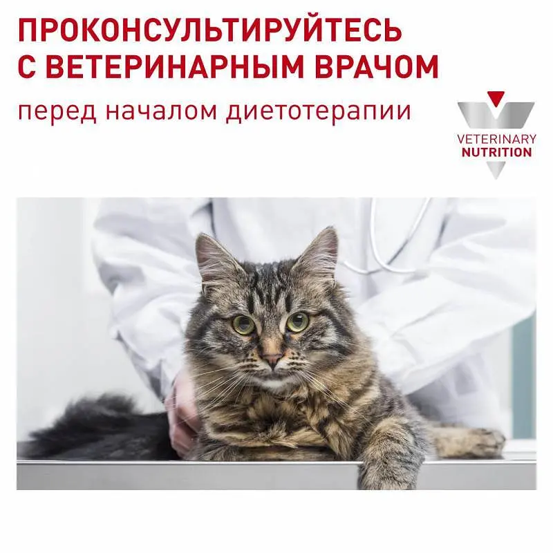 Консервований корм для дорослих котів Royal Canin Neutered Maintenance з моменту стерилізації до 7 років, 85 г (40890019) - фото 5