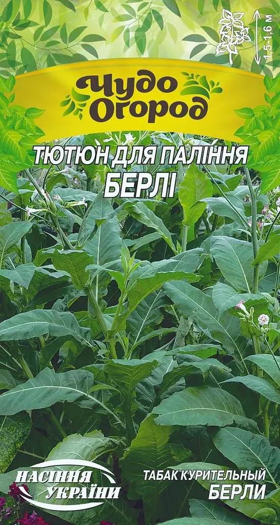 Насіння Тютюн для паління Насіння України Берлі 0.1г ЧудоОгород