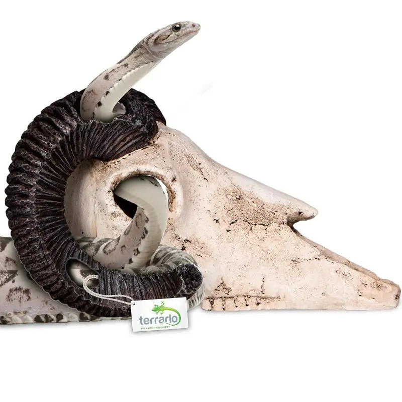Декорація череп барана Terrario Ram Skull 19x16x11см (191712) - фото 3
