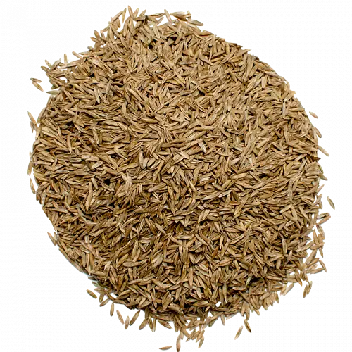 Насіння газонної трави універсальної Green Seeds 1кг - фото 4