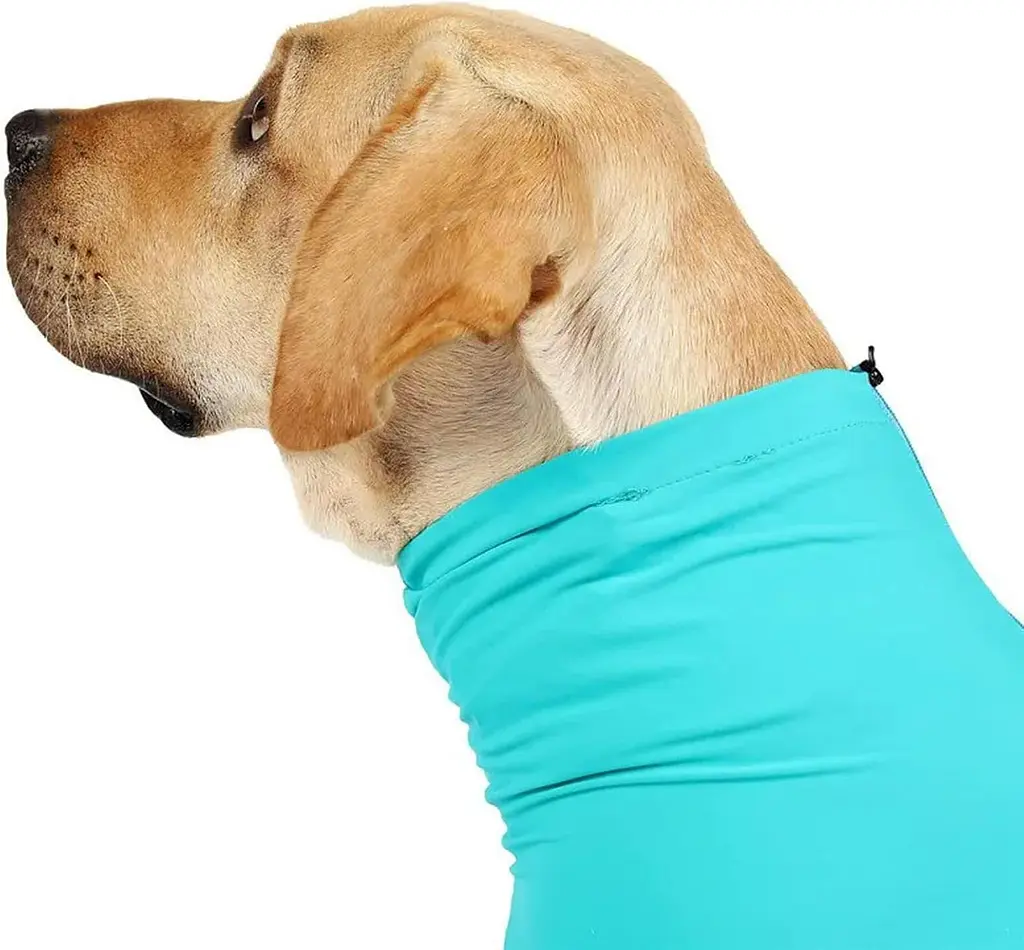 Комбінезон для відновлення собак Derby Pet Recovery Suit, Turquoise, 2XL - фото 4