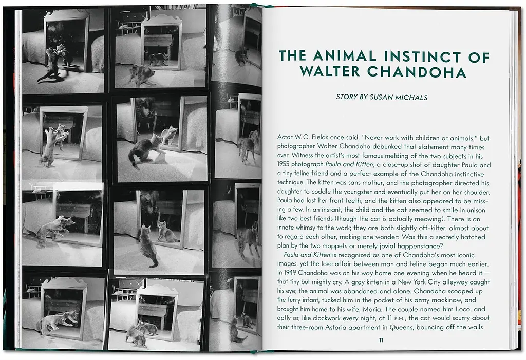 Walter Chandoha. Cats. Photographs 1942-2018 - фото 2