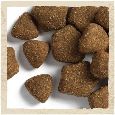 Сухий корм для собак Purina Dog Chow Adult Lamb зі смаком ягняти 14 кг (7613034487636) - фото 5