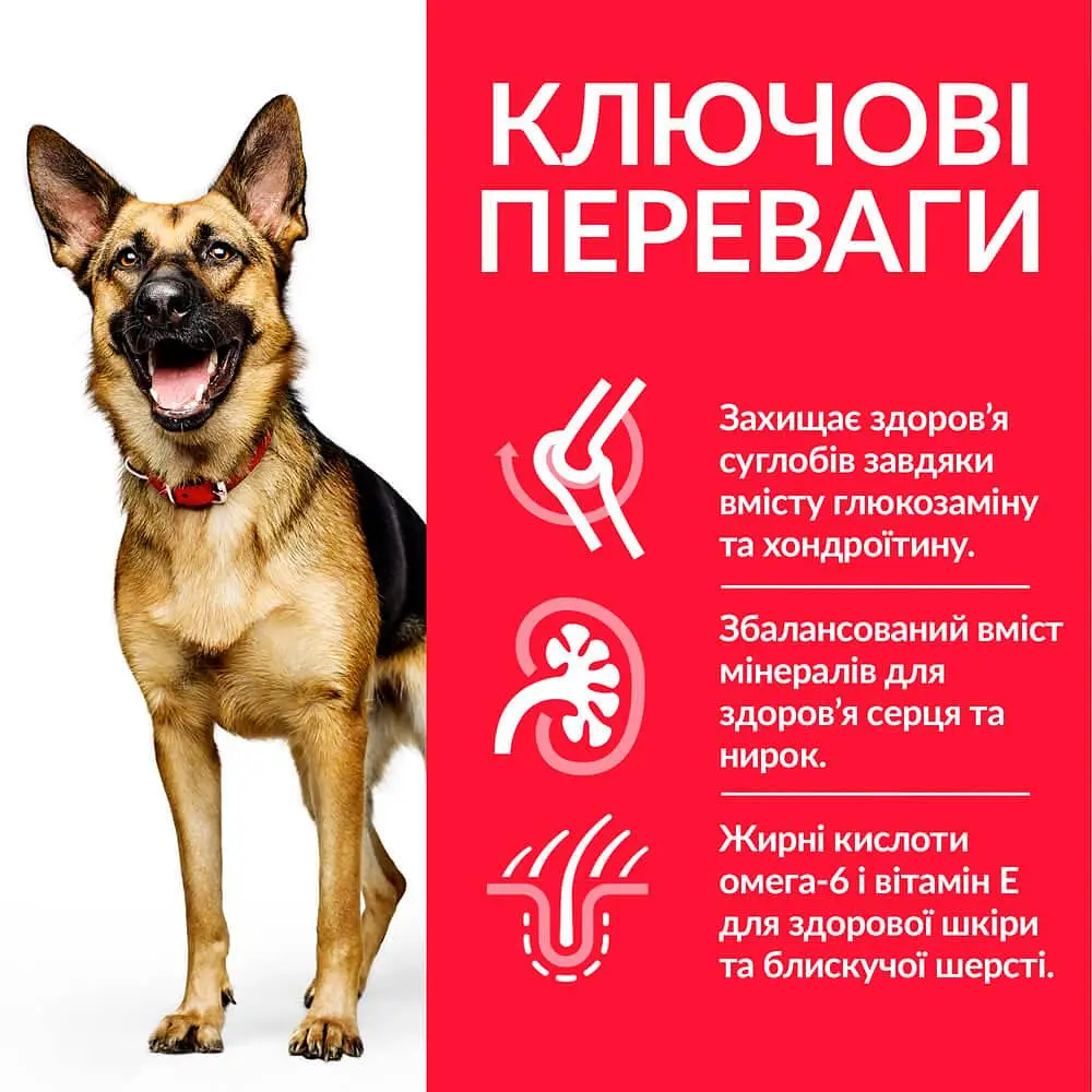 Сухий корм Hill’s SP Mature Adult 6+ Large Breed для зрілих собак великих порід від 6 років з куркою 14 кг - фото 2