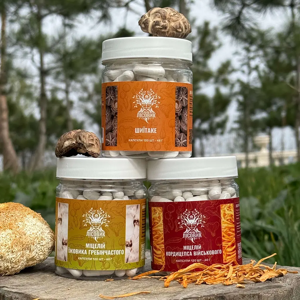 Курс Лісовик Mind Boost v 2 для навчання та когнітивних функцій на 2 місяці 360 капсул - фото 4