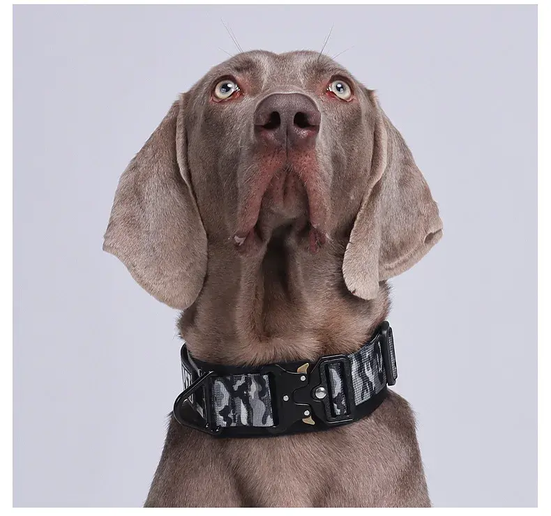 Нашийник для собак Woofy, нейлоновий з металевою пряжкою-фастекс, світловідбиваючий, сірий/камуфляж, L - фото 4