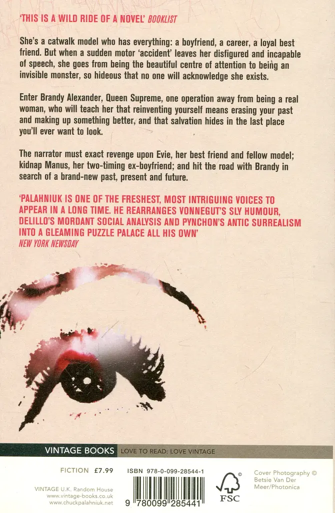 Invisible Monsters - фото 2